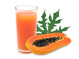 papaya
